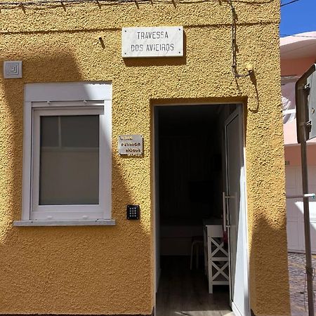 Casas Dona Emilia Apartman Vieira de Leiria Kültér fotó